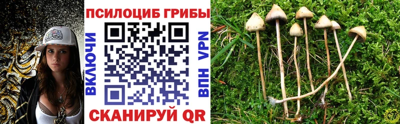 Псилоцибиновые грибы Psilocybine cubensis  как найти закладки  Пушкино 